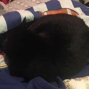 Meet your Posher, Kaitlin